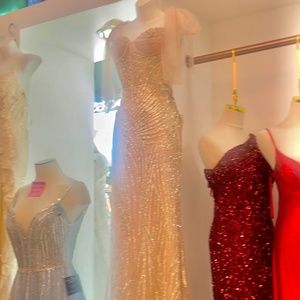 Beautiful Prom Gown Cinderella